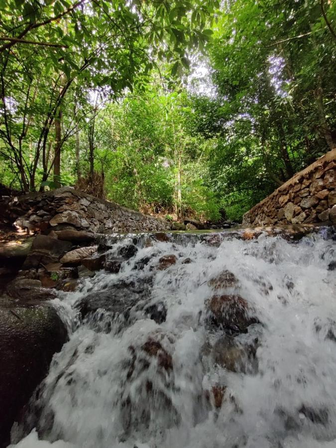 Forest&River Edge Resort Kannur Eksteriør billede